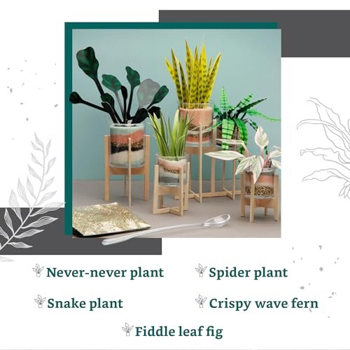Craft Crush Faux Plant Sand Art Kit for Home Decor