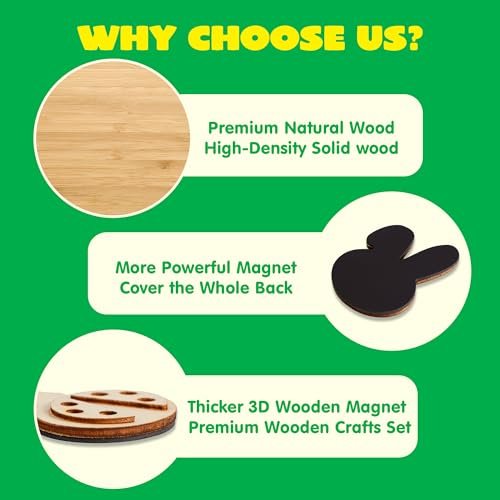 JOYIN 12-Piece DIY Wooden Magnet Painting Kit for Kids
